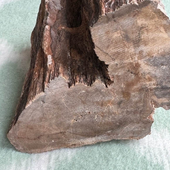 Natural petrified wood fossil Stone Sculpture - Picture 6 of 9